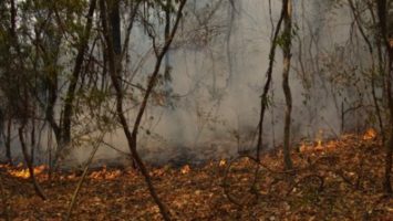 Observatorio de Incendios NOA