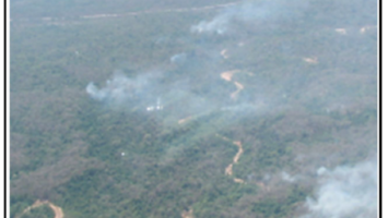 El Bosque Pedemontano en llamas